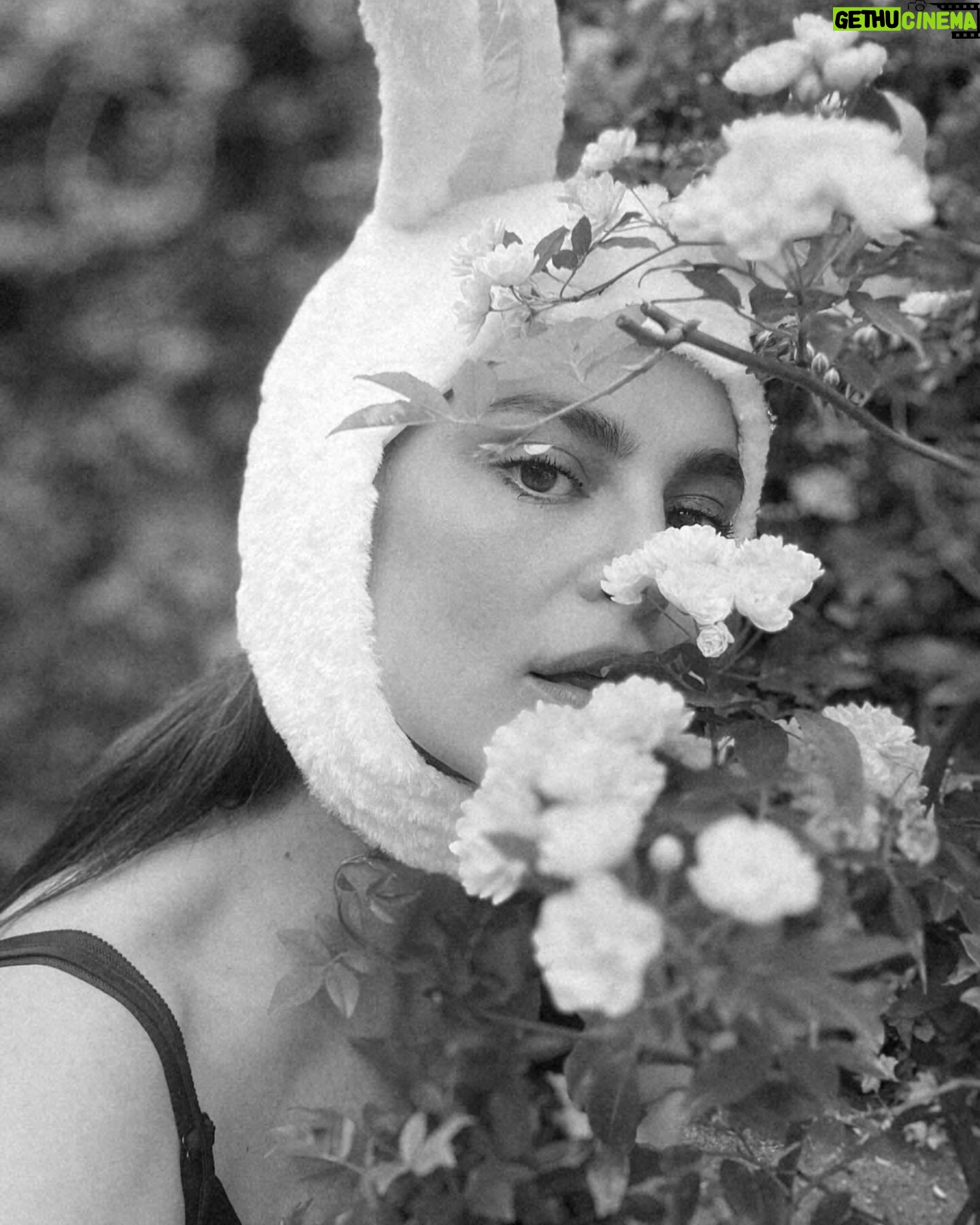 Catrinel Marlon Instagram - Bunny #Easter