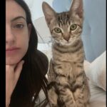 Cazzie David Instagram - Found another cat with ears as big as mine