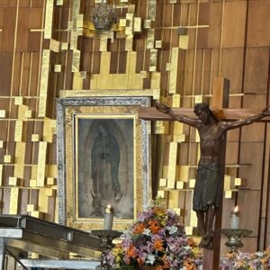 Cecilia Bolocco Instagram - No tengo palabras para describir la emoción de haber estado hoy a los pies de Nuestra Madre La Virgen de Guadalupe!!! Finalmente pudimos venir a visitarla junto a mi adorado @maximobolocco y a mi amor @pepodaire 🙏❤️🥰🙌 Ella llegó a través de Su Manto horas antes de la operación de Máximo hace un poco más de 5 años, gracias a nuestra querida @lucha_errazuriz , y núnca más nos abandonó!!! Y no deja de sorprendernos porque hoy al llegar a la Basilica nos recibió el Monseñor Diego Monroy Ponce quien nos llevó hasta el mismísimo altar donde además nos bendijo y le agradeció a La Virgen en nuestro nombre!!! Gracias Dios mio por tan extraordinario encuentro!!! 🙏❤️🙌
#virgendeguadalupe #santuariodelavirgendeguadalupe #basílicadeguadalupe