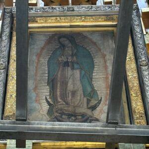 Cecilia Bolocco Instagram - No tengo palabras para describir la emoción de haber estado hoy a los pies de Nuestra Madre La Virgen de Guadalupe!!! Finalmente pudimos venir a visitarla junto a mi adorado @maximobolocco y a mi amor @pepodaire 🙏❤️🥰🙌 Ella llegó a través de Su Manto horas antes de la operación de Máximo hace un poco más de 5 años, gracias a nuestra querida @lucha_errazuriz , y núnca más nos abandonó!!! Y no deja de sorprendernos porque hoy al llegar a la Basilica nos recibió el Monseñor Diego Monroy Ponce quien nos llevó hasta el mismísimo altar donde además nos bendijo y le agradeció a La Virgen en nuestro nombre!!! Gracias Dios mio por tan extraordinario encuentro!!! 🙏❤️🙌
#virgendeguadalupe #santuariodelavirgendeguadalupe #basílicadeguadalupe