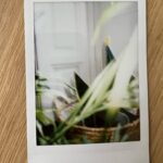 Cecilia Suárez Instagram – Cosas de por estos días….🌱💫
(…y alguna foto del pasado, en una sesión que hicimos en Xochimilco)