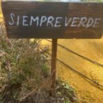 Cecilia Suárez Instagram – Cosas de por estos días….🌱💫
(…y alguna foto del pasado, en una sesión que hicimos en Xochimilco)