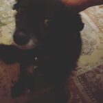Cecily Strong Instagram - Old lady maybe Italian Lucy came out tonight to talk about her love for gay boys and @jazzblob . Times is tough. So lots of love to you. And lots of Moira Rose.