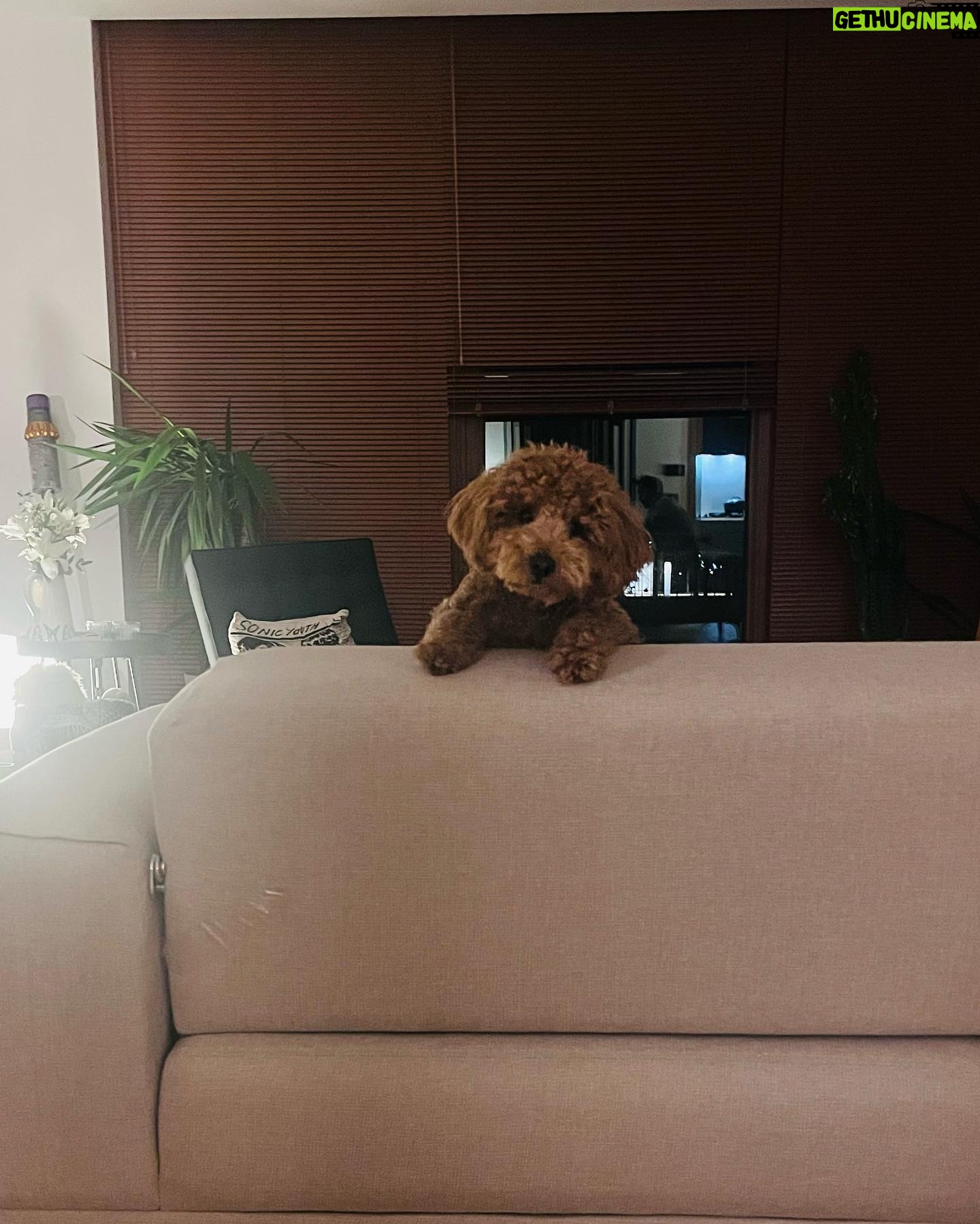 Ceren Moray Instagram - Haftası daha Çarşamba olan captain’a, papucunu ters giydirecek o son haftalar, sıralı dumpich