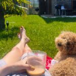 Ceren Moray Instagram - Bu bayramın janrası yok ama sondaki fotoğraf her yere olur.