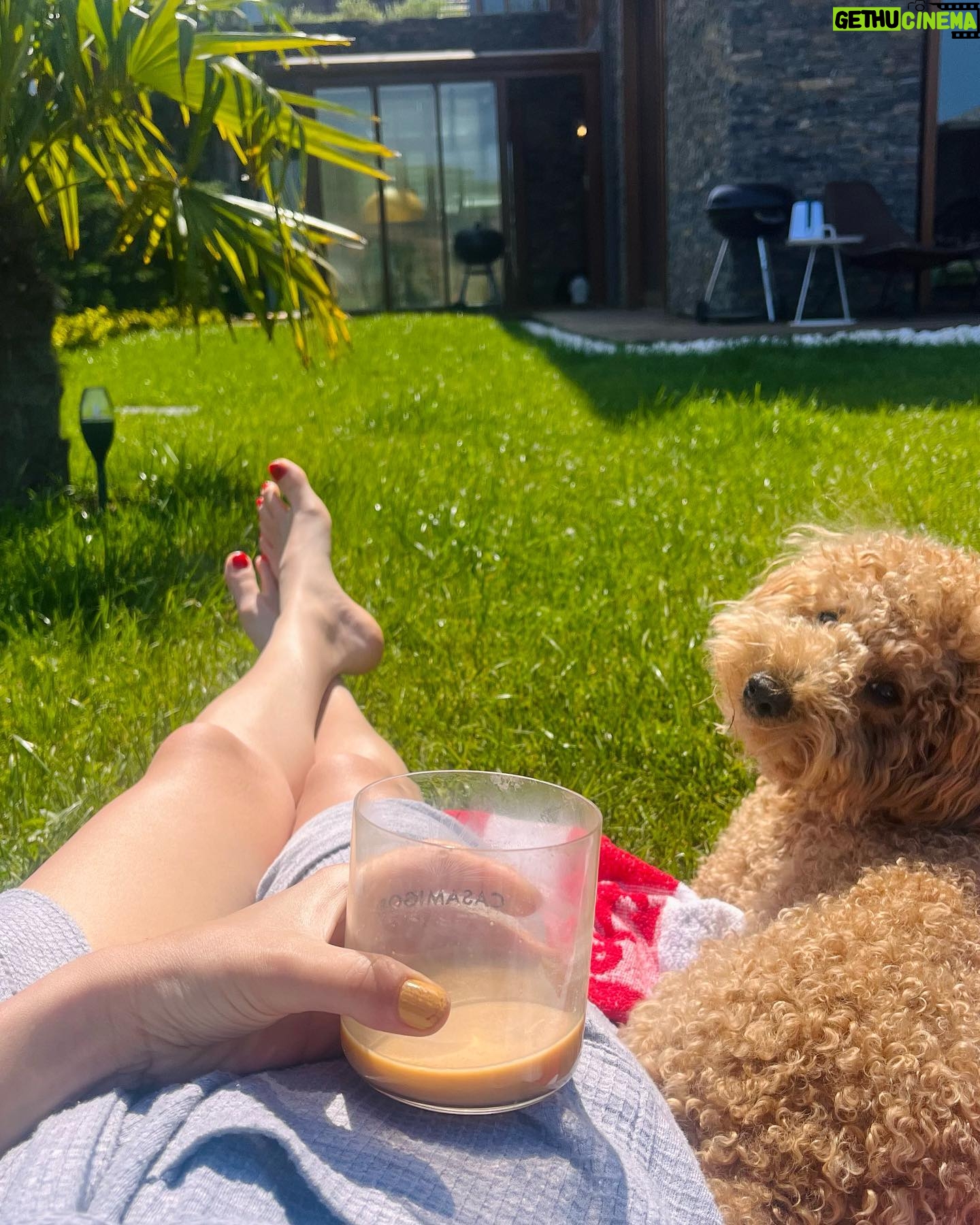 Ceren Moray Instagram - Bu bayramın janrası yok ama sondaki fotoğraf her yere olur.