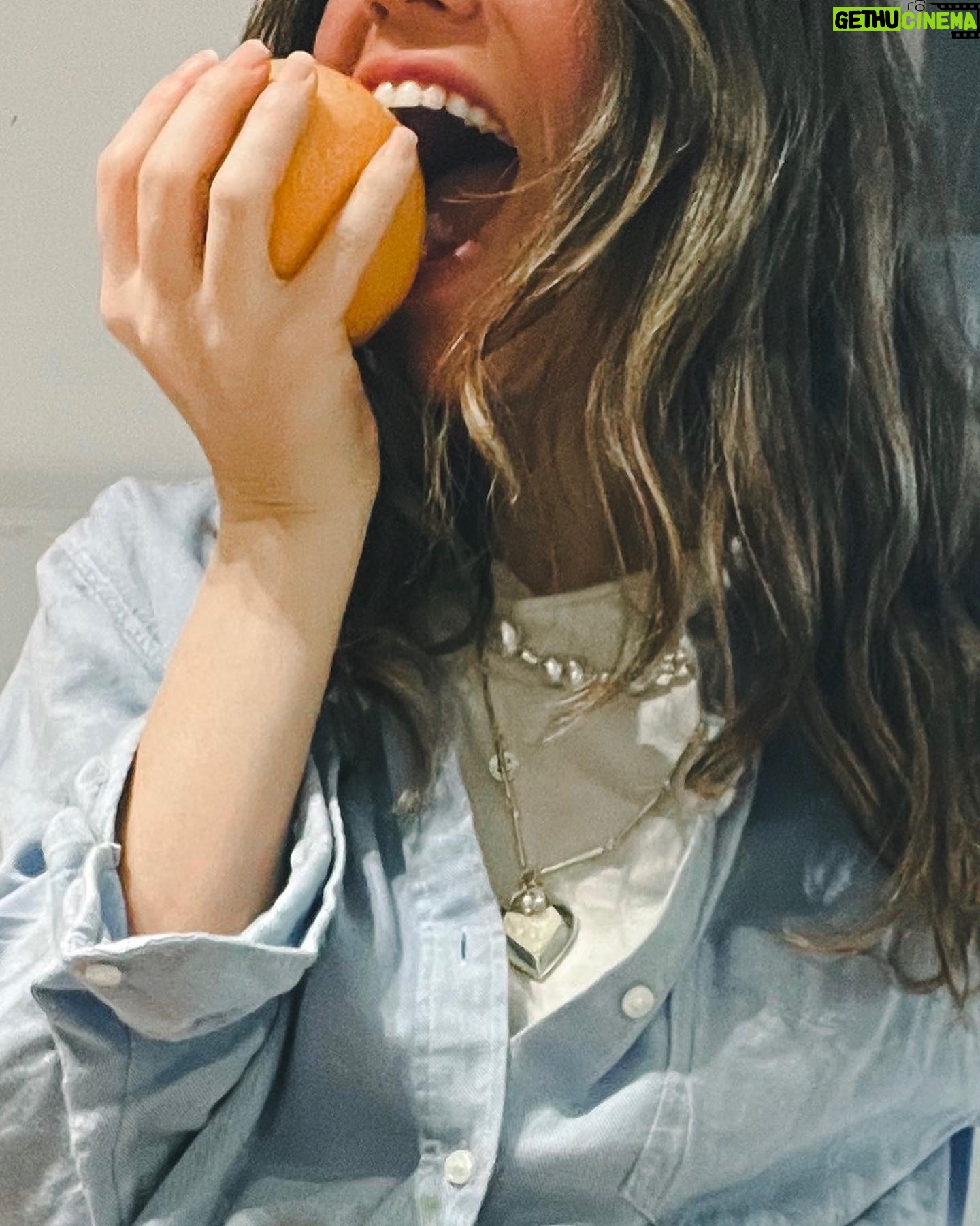 Ceren Moray Instagram - Bunu buraya basıp, kuru patlıcan dolduracağım; daha böyle neler neler ya 😬