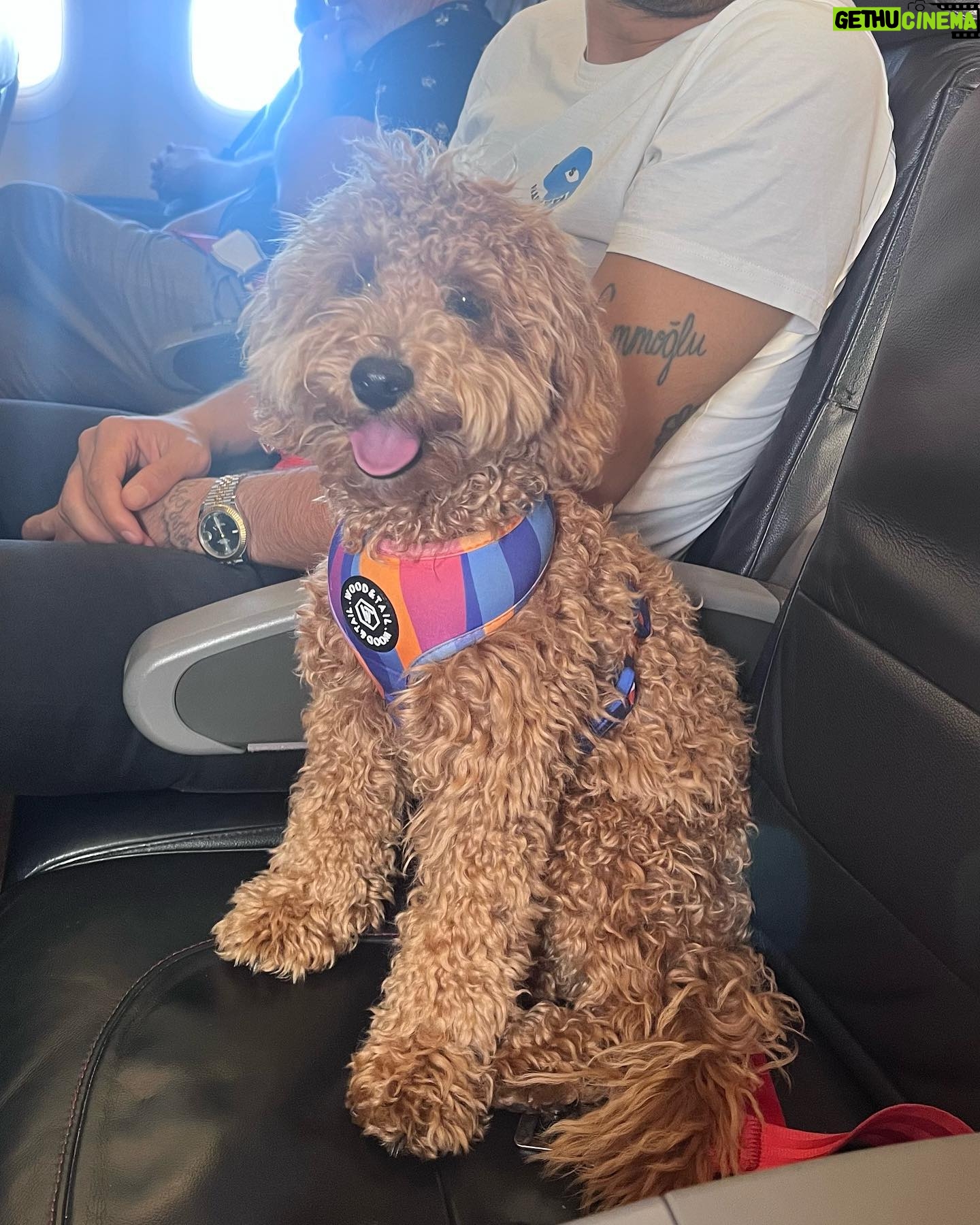 Ceren Moray Instagram - 1 yaşında bir çeto, 1 yıldır kudurtan bir sevgi, sana bayılıyorum annecim, iyi ki geldin. Nice yıllara koodleların koodle’ı 🎂