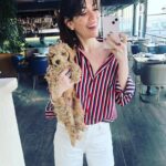 Ceren Moray Instagram - İçerden dışardan, köpekli köpeksiz dump from mirrors.