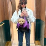 Ceren Moray Instagram - İçerden dışardan, köpekli köpeksiz dump from mirrors.