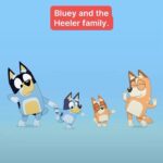 Cesar Millan Instagram - Meet Bluey and The Heeler Family, the happiest pack around! ❤️ Don’t miss all-new #BetterHumanBetterDog tomorrow at 9/8c on @natgeotv. Catch up on past seasons on #DisneyPlus.