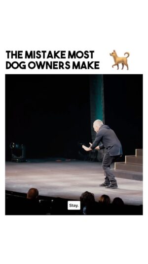 Cesar Millan Instagram - Back to Basics! 📚

Training Tip Tuesday. Fill in the blank. How does a dog learn?

Nose, Eyes, and ______.