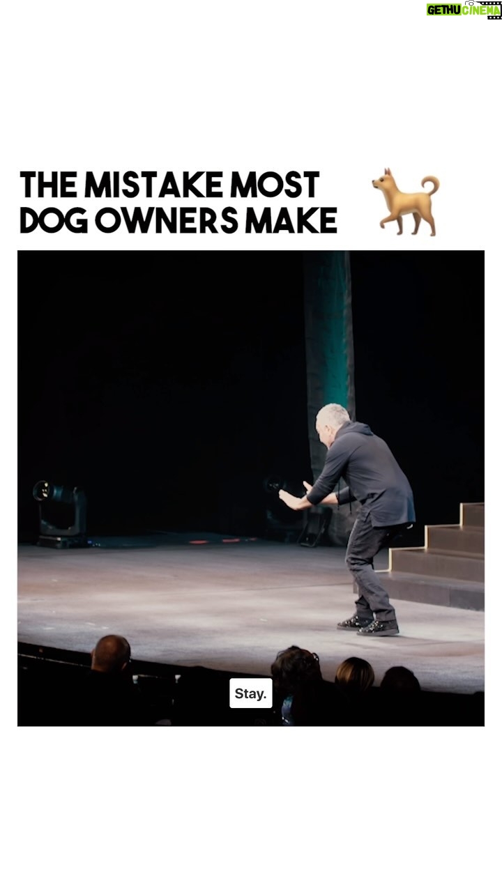 Cesar Millan - 37.5K Likes - Back to Basics! š
Training Tip Tuesday. Fill in the blank. How does a dog learn?
Nose, Eyes, and ______.