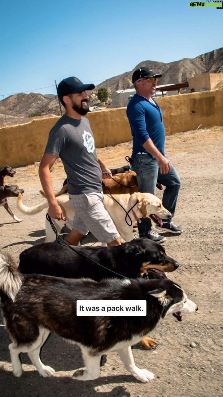 Cesar Millan Instagram - Art Ortiz, @dogfitdallas, share his Training Cesar’s Way testimony and how it changed his life forever. Watch our new podcast episode about Training Cesar’s Way featuring @dogfitdallas , @jo_and_jaxx_dog_psychology , and @toddlangston Experience the magic of Training Cesar’s Way and secure your spot by visiting our website (cesarmillan.com) #dogtraining #dog #betterhumansbetterplanet ——— Art Ortiz, @DOGFITDALLAS, comparte su testimonio de Training Cesar’s Way y cómo cambió su vida para siempre. Vive la magia de Training Cesar’s Way y asegura tu lugar visitando nuestro sitio web (cesarmillan.com) #entrenamientoperro #perro #mejoreshumanosmejorplaneta