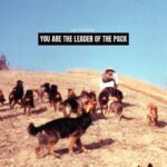 Cesar Millan Instagram - Eres el líder de la manada. - debemos brindar dirección, protección y amor. ¿Cómo? Una forma es dominar la caminata. . . . You are the leader of the pack. - we must provide direction, protection, and love. How? One way is by Mastering the Walk
