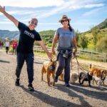 Cesar Millan Instagram - TCW Testimonial - Wendi Three years ago, I had Cesar’s TCW class listed on my bucket list…and now, I have been to three of his classes! Some people might think dogs go to the DPC to learn, but dogs are instinctual creatures, so it’s really the humans that are there to learn. It can be hard, even frustrating at times, to learn to stop habits that don’t serve you (like keeping tension on the leash), but remember that we don’t create habits overnight, so it can take time. If you’re open to growth, you can learn a lot about yourself from Cesar and the amazing trainers that partner with him. It takes a village to raise kids, and dogs, and Cesar’s village is truly phenomenal. ————— Hace tres años, tenía las clases de Training Cesar’a Way en mi lista de deseos... ¡y ahora he asistido a tres de sus clases! Algunas personas podrían pensar que los perros van al DPC para aprender, pero los perros son criaturas instintivas, por lo que en realidad son los humanos quienes están ahí para aprender. Puede ser difícil, incluso frustrante a veces, aprender a dejar hábitos que no te sirven (como mantener la tensión en la correa), pero recuerda que no creamos hábitos de la noche a la mañana, por lo que puede llevar tiempo. Si estás abierto al crecimiento, puedes aprender mucho sobre ti mismo de César y de los increíbles entrenadores que trabajan con él. Se necesita un pueblo para criar niños y perros, y el pueblo de César es realmente fenomenal. #betterhumansbetterplanet