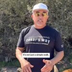 Cesar Millan Instagram – Exercise, Discipline, Affection 🐕

One way to master the walk is to challenge our dogs instinctually and drain their energy.

Natural, Simple, and Profound ❤️

Join us Weekly on our Pack Walk TikTok Lives!

#betterhumansbetterplanet