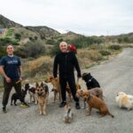 Cesar Millan Instagram - Que vivan estas épocas de caminatas familiares. 🎄 . . . Long live these times of family walks. 🎄