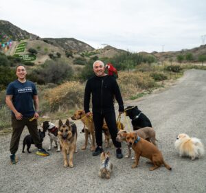 Cesar Millan Instagram - Que vivan estas épocas de caminatas familiares. 🎄
. . . 
Long live these times of family walks. 🎄