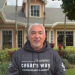 Cesar Millan Instagram – #BetterHumanBetterPlanet the mission continues and today another #TrainingCesarsWay is underway. 
Trust, respect and love Mother Nature ❤️🌎