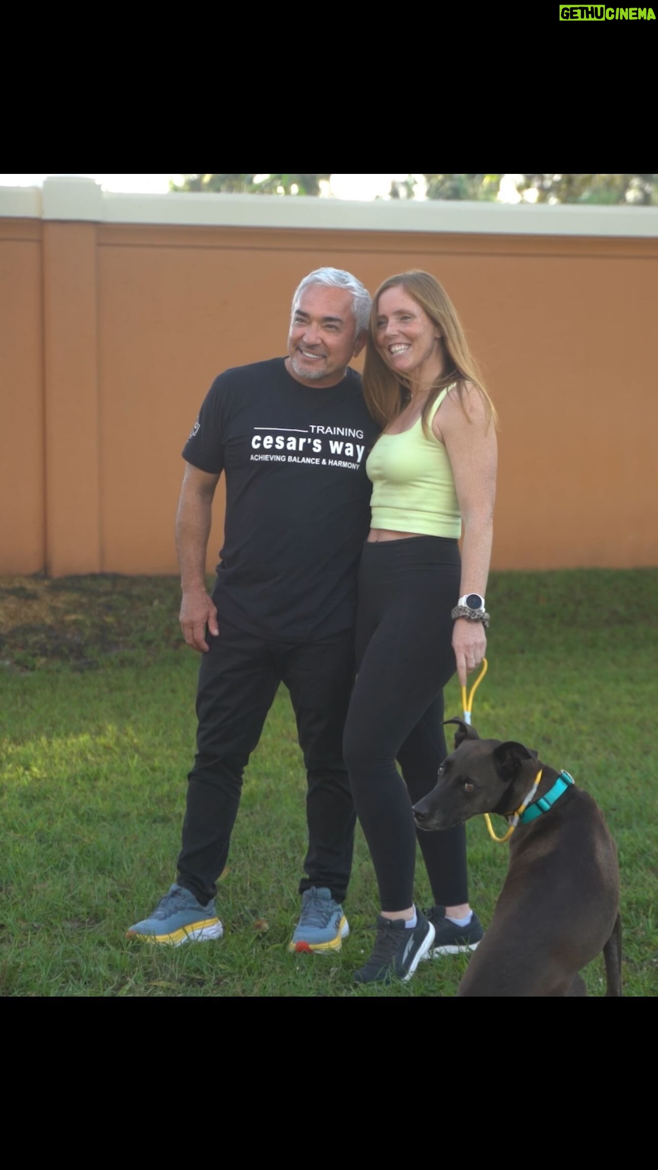 Cesar Millan Instagram - TCW Testimonial - The Power of Simple & Profound - Lisa ❤️ Thank you for joining us on our mission of making this world a better planet by becoming better humans for our dogs. 🌎 Be a part of the magic and sign up for Training Cesar’s Way! ✨ Visit cesarmillan.com for more info. #dog #dogtraining #betterhumansbetterplanet