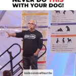 Cesar Millan Instagram - Training Tip Tuesday 📚 Never do this with your dog ❗️ Remember the FIVE body motions. Stretch, Walk, Run, Rest, and Sleep. Learn more @trainingcesarsway #dog #dogtraining #cesarmillan