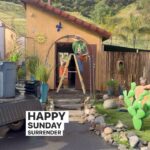 Cesar Millan Instagram - Happy Sunday Surrender - Resurrection Day ☀️ Today, let’s surrender to Rebirth, Rehabilitate, Reset, Rebuild, and Redecorate anything that we have to redo. #betterhumansbetterplanet