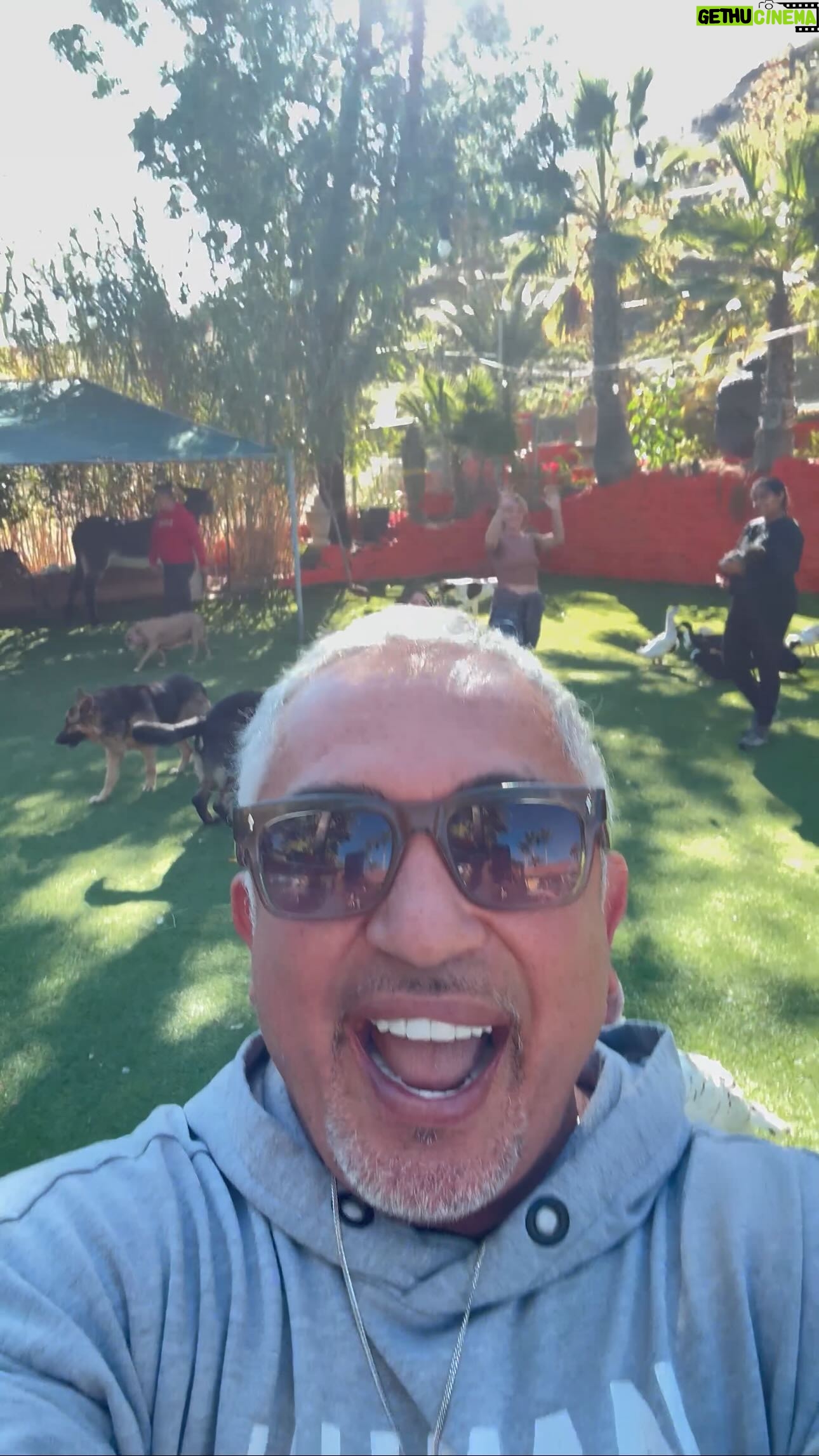 Cesar Millan Instagram - Happy Holidays ❤️ From the DPC we are grateful for the light God has given us, the ability to breathe in the world around us, to love and to be loved, and to create new memories. Let’s all live a natural, simple, and profound life. #betterhumansbetterplanet #thanksgiving