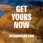Cesar Millan Instagram – Proud and excited to share with you the ALL NEW CESAR MILLAN MERCH 🎉
Join me on our mission to make this world a better planet by bettering the way we as humans treat our animals ❤️
Get yours today by visiting my website, cesarmillan.com
Link in my bio!
#betterhumansbetterplanet