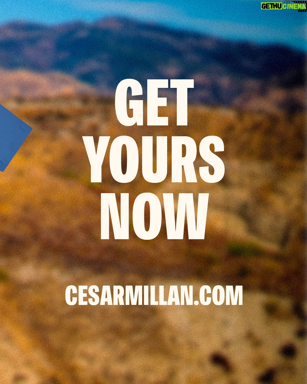 Cesar Millan Instagram - Proud and excited to share with you the ALL NEW CESAR MILLAN MERCH π Join me on our mission to make this world a better planet by bettering the way we as humans treat our animals β€οΈ Get yours today by visiting my website, cesarmillan.com Link in my bio! #betterhumansbetterplanet