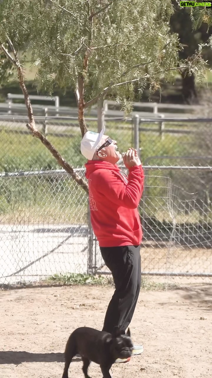 Cesar Millan Instagram - In this ranch vlog, the pack and I watch the solar eclipse at the ranch in Los Angeles, California! 🌙☀️ What an incredible experience that will only happen again in 20 years! Grateful to experience this moment with all of my pack, humans and animals. We love you! Where did you watch the solar eclipse? #betterhumansbetterplanet