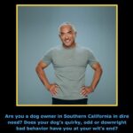 Cesar Millan Instagram – We are looking for you! 🫵

Follow the link in our BIO if you think you should be part of #BetterHumanBetterDog 📺🐶