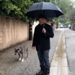 Cesar Millan Instagram – On a rainy day like today I get asked all the time
“How do I get my dog to use the bathroom outside when it’s raining” ☔️
#throwback with Junior. We miss you everyday ❤️
#betterhumansbetterplanet #trainingtiptuesday