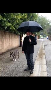 Cesar Millan Instagram - On a rainy day like today I get asked all the time “How do I get my dog to use the bathroom outside when it’s raining” ☔️ #throwback with Junior. We miss you everyday ❤️ #betterhumansbetterplanet #trainingtiptuesday