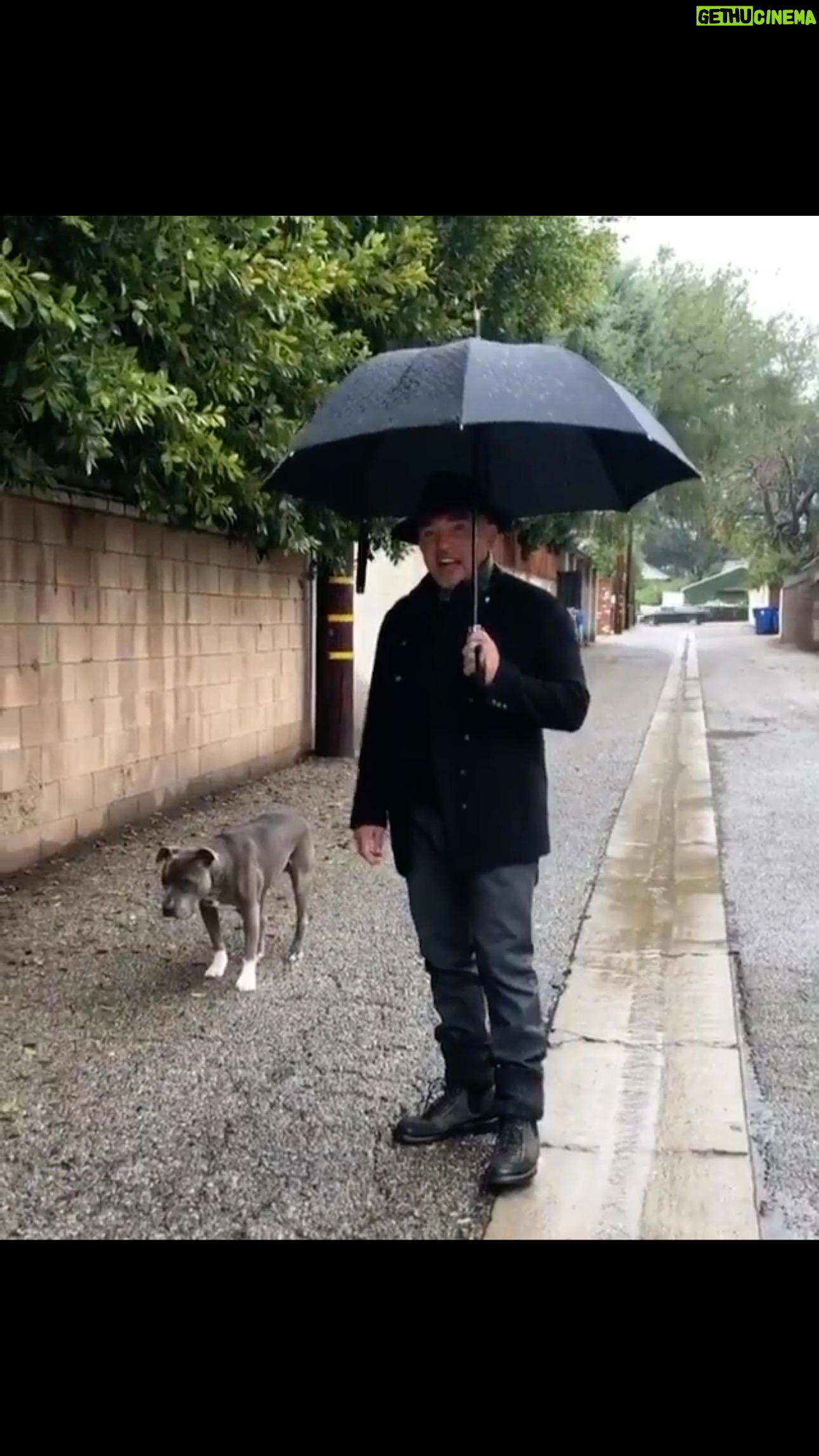 Cesar Millan - 21.6K Likes - On a rainy day like today I get asked all the time
āHow do I get my dog to use the bathroom outside when itās rainingā āļø
#throwback with Junior. We miss you everyday ā¤ļø
#betterhumansbetterplanet #trainingtiptuesday