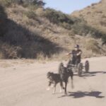 Cesar Millan Instagram - Always knew a car for extra exercise was waiting for me... even tried to build one 😅 #saccodogcart came as the perfect answer 🙌 🦮 #drylandmushing #mushing #urbanmushing #mushingdog