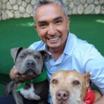 Cesar Millan Instagram – Today is National Love Your Pet Day! ❤️
Here are my favorite photos with my best friends 🥰
Share your favorite memories with your pets in the comments!
#LoveYourPetDay #betterhumansbetterplanet
• • •
¡Hoy es el Día Nacional de Amar a tu Mascota! ❤️
Aquí están mis fotos favoritas con mis mejores amigos 🥰
¡Comparte tus recuerdos favoritos con tus mascotas en los comentarios!
#LoveYourPetDay #mejoreshumanosmejorplaneta