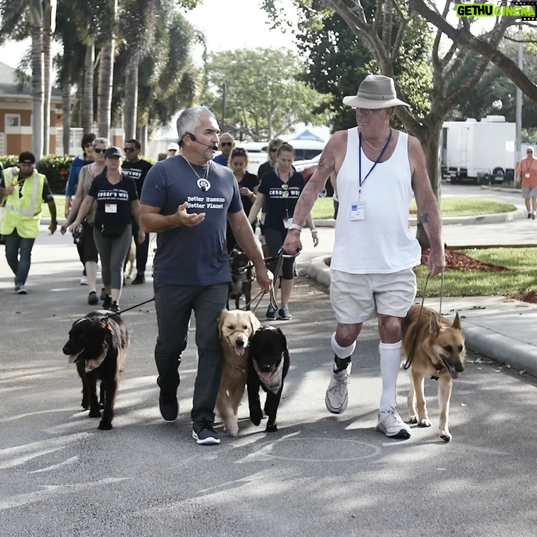 Cesar Millan Instagram - NEXT WEEK! We are back with Training Cesar's Way Fundamentals I in Florida! We are so excited to see you all ❤️ #throwback to our last event in 2018. Daily Pack Walks coming soon! #betterhumansbetterplanet #dogtraining