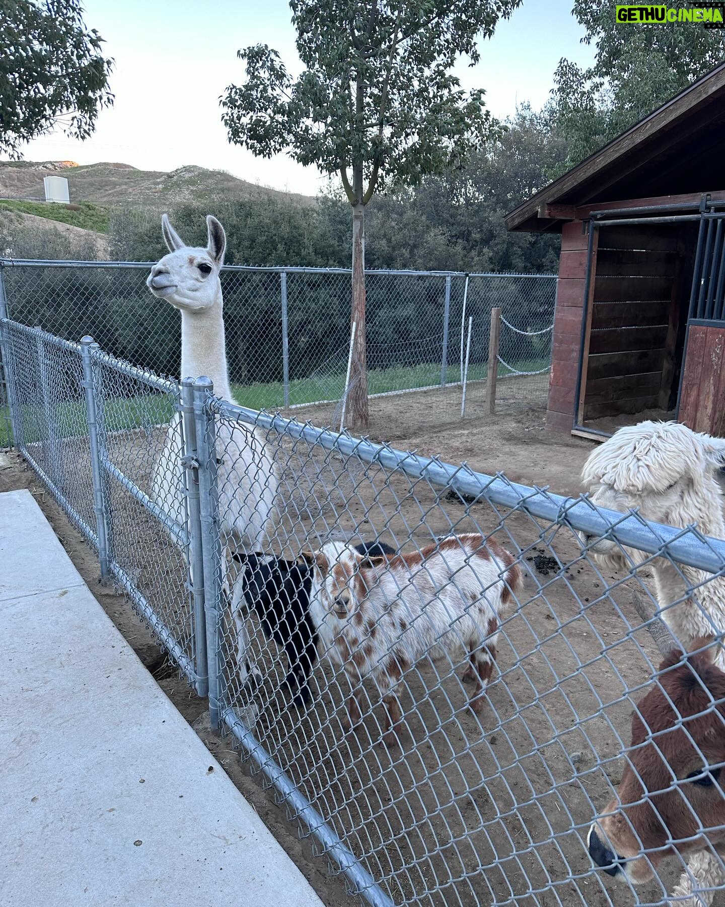 Cesar Millan - 160.6K Likes - Thank you for my friends Ernesto @ernestozazueta & Cesar Millan @cesarsway for a beautiful family barbecue at his ranch this past Sunday. Blessed to have such good & real Friends