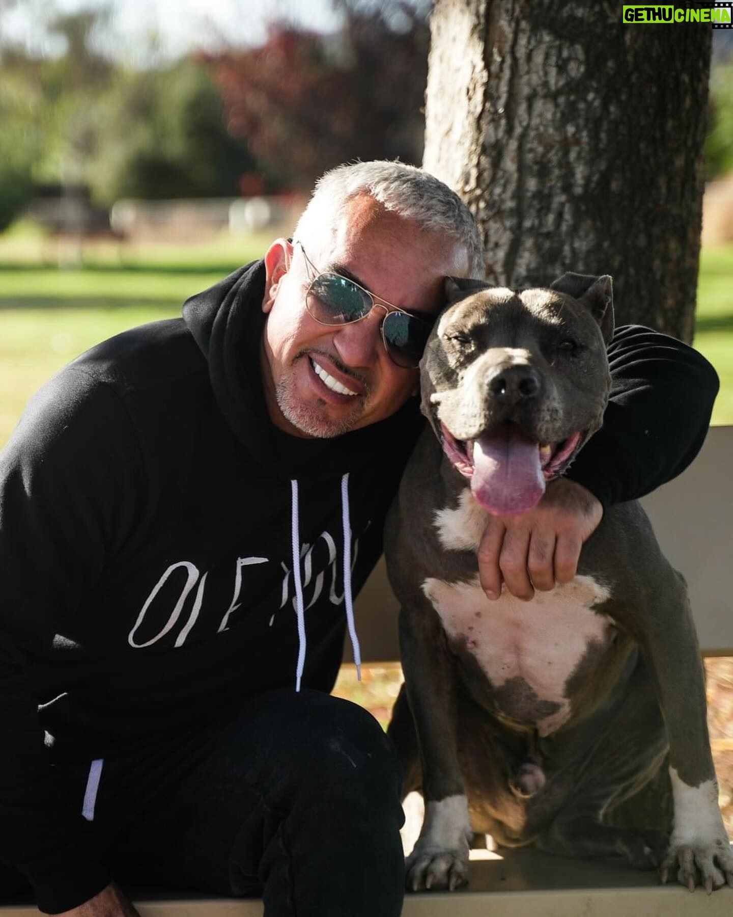 Cesar Millan - 41.5K Likes - Today is National Love Your Pet Day! ❤️
Here are my favorite photos with my best friends 🥰
Share your favorite memories with your pets in the comments!
#LoveYourPetDay #betterhumansbetterplanet
• • •
¡Hoy es el Día Nacional de Amar a tu Mascota! ❤️
Aquí están mis fotos favoritas con mis mejores amigos 🥰
¡Comparte tus recuerdos favoritos con tus mascotas en los comentarios!
#LoveYourPetDay #mejoreshumanosmejorplaneta