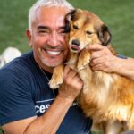 Cesar Millan Instagram – Today is National Love Your Pet Day! ā¤ļø
Here are my favorite photos with my best friends š„°
Share your favorite memories with your pets in the comments!
#LoveYourPetDay #betterhumansbetterplanet
⢠⢠ā¢
Ā”Hoy es el DĆa Nacional de Amar a tu Mascota! ā¤ļø
AquĆ estĆ”n mis fotos favoritas con mis mejores amigos š„°
”Comparte tus recuerdos favoritos con tus mascotas en los comentarios!
#LoveYourPetDay #mejoreshumanosmejorplaneta