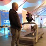 Cesar Millan Instagram - Monday Motivation - Learning the Treadmill with Junior & Rio! Visit my website to secure your spot at our Training Cesar's Way workshop where you can learn first hand how to use the treadmill to exercise your dogs! #mondaymotivation #betterhumansbetterplanet #throwback