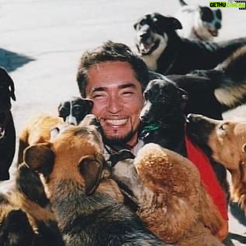 Cesar Millan - 41.5K Likes - Today is National Love Your Pet Day! ❤️
Here are my favorite photos with my best friends 🥰
Share your favorite memories with your pets in the comments!
#LoveYourPetDay #betterhumansbetterplanet
• • •
¡Hoy es el Día Nacional de Amar a tu Mascota! ❤️
Aquí están mis fotos favoritas con mis mejores amigos 🥰
¡Comparte tus recuerdos favoritos con tus mascotas en los comentarios!
#LoveYourPetDay #mejoreshumanosmejorplaneta