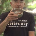 Cesar Millan Instagram - Every feeding ritual Cesar feeds a calm and quiet dog. We must nurture silence, calmness, and patience. Learn more about what Cesar feed his dogs in his Newest YouTube Video! #betterhumansbetterplanet
