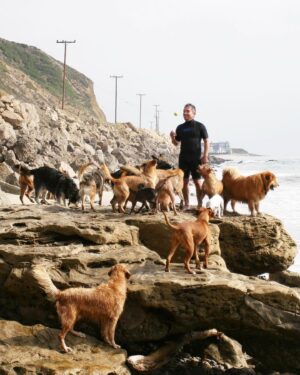 Cesar Millan Instagram - “Ask not what your country can do for you – ask what you can do for your country” - John F Kennedy 🇺🇸

One of my favorite quotes comes from President JFK, I came to this country with a dream to become the greatest dog trainer in the world by learning from Americans.

I grew up in Mexico watching the TV show Lassie and Rin Tin Tin, so I thought all dogs were like that. When I came to America I saw dogs having birthday parties and getting toys for Christmas. It was something completely foreign to me. 

Dogs in Mexico are skinny but they don’t have psychological problems. Dogs in America are chunky but I get to have a TV show.

I listened to JFK’s quote and decided to make my mission to train people and rehabilitate dogs. 

And the rest is history 📚

#presidentsday #betterhumansbetterplanet 
• • •
“No preguntes qué puede hacer tu país por ti, pregunta qué puedes hacer tú por tu país” - John F Kennedy 🇺🇸

Una de mis citas favoritas proviene del presidente JFK: Vine a este país con el sueño de convertirme en el mejor adiestrador de perros del mundo aprendiendo de los estadounidenses.

Crecí en México viendo el programa de televisión Lassie y Rin Tin Tin, así que pensé que todos los perros eran así. Cuando vine a Estados Unidos vi perros celebrando fiestas de cumpleaños y recibiendo juguetes en Navidad. Era algo completamente extraño para mí.

Los perros en México son flacos, pero no tienen problemas psicológicos. Los perros en Estados Unidos son fuertes, pero yo tengo un programa de televisión.

Escuché la cita de JFK y decidí tener como misión entrenar personas y rehabilitar perros.

El resto es historia 📚

#diadelospresidentes #mejoreshumanosmejorplaneta