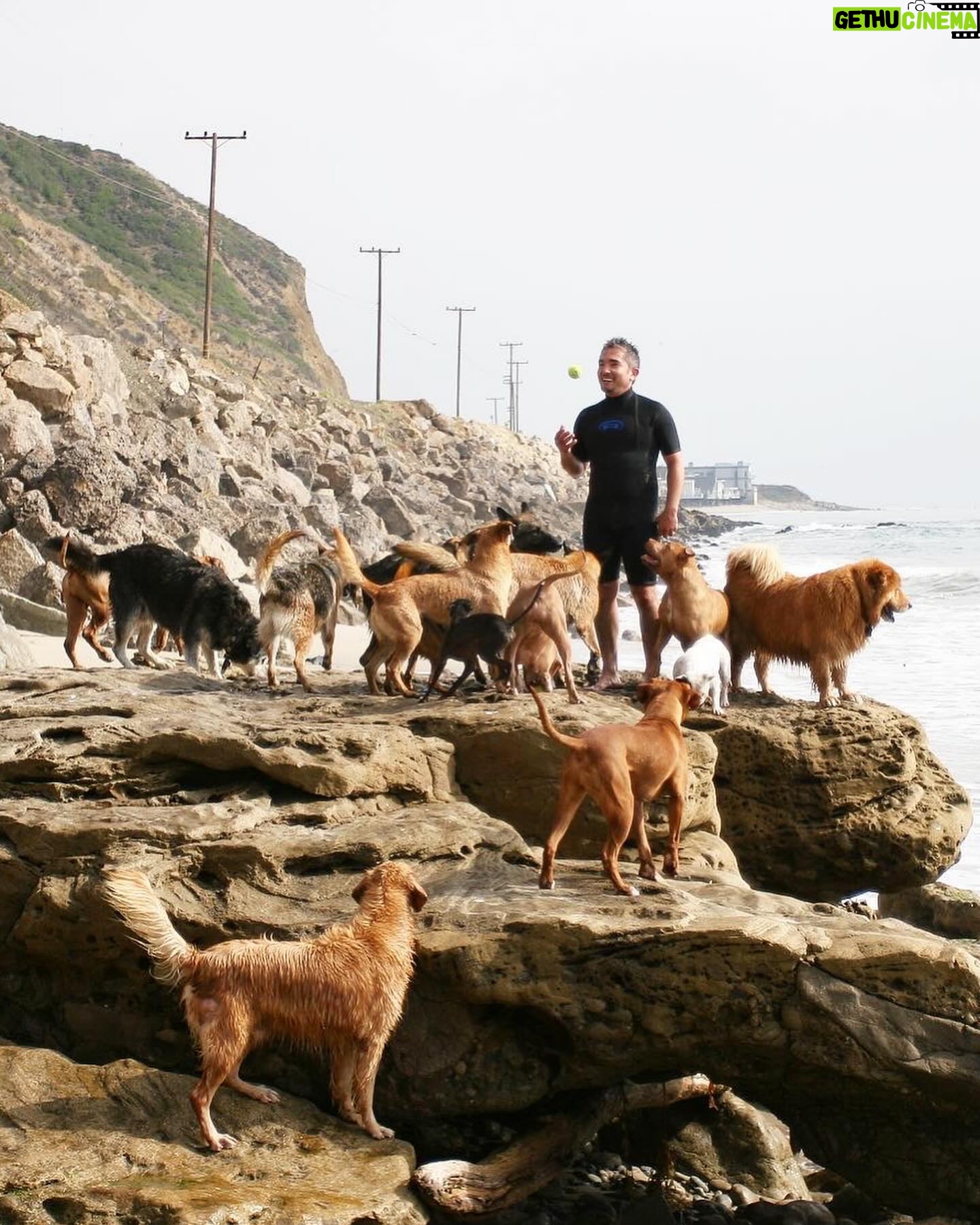 Cesar Millan - 22.4K Likes - “Ask not what your country can do for you – ask what you can do for your country” - John F Kennedy 🇺🇸
One of my favorite quotes comes from President JFK, I came to this country with a dream to become the greatest dog trainer in the world by learning from Americans.
I grew up in Mexico watching the TV show Lassie and Rin Tin Tin, so I thought all dogs were like that. When I came to America I saw dogs having birthday parties and getting toys for Christmas. It was something completely foreign to me.
Dogs in Mexico are skinny but they don’t have psychological problems. Dogs in America are chunky but I get to have a TV show.
I listened to JFK’s quote and decided to make my mission to train people and rehabilitate dogs.
And the rest is history 📚
#presidentsday #betterhumansbetterplanet
• • •
“No preguntes qué puede hacer tu país por ti, pregunta qué puedes hacer tú por tu país” - John F Kennedy 🇺🇸
Una de mis citas favoritas proviene del presidente JFK: Vine a este país con el sueño de convertirme en el mejor adiestrador de perros del mundo aprendiendo de los estadounidenses.
Crecí en México viendo el programa de televisión Lassie y Rin Tin Tin, así que pensé que todos los perros eran así. Cuando vine a Estados Unidos vi perros celebrando fiestas de cumpleaños y recibiendo juguetes en Navidad. Era algo completamente extraño para mí.
Los perros en México son flacos, pero no tienen problemas psicológicos. Los perros en Estados Unidos son fuertes, pero yo tengo un programa de televisión.
Escuché la cita de JFK y decidí tener como misión entrenar personas y rehabilitar perros.
El resto es historia 📚
#diadelospresidentes #mejoreshumanosmejorplaneta