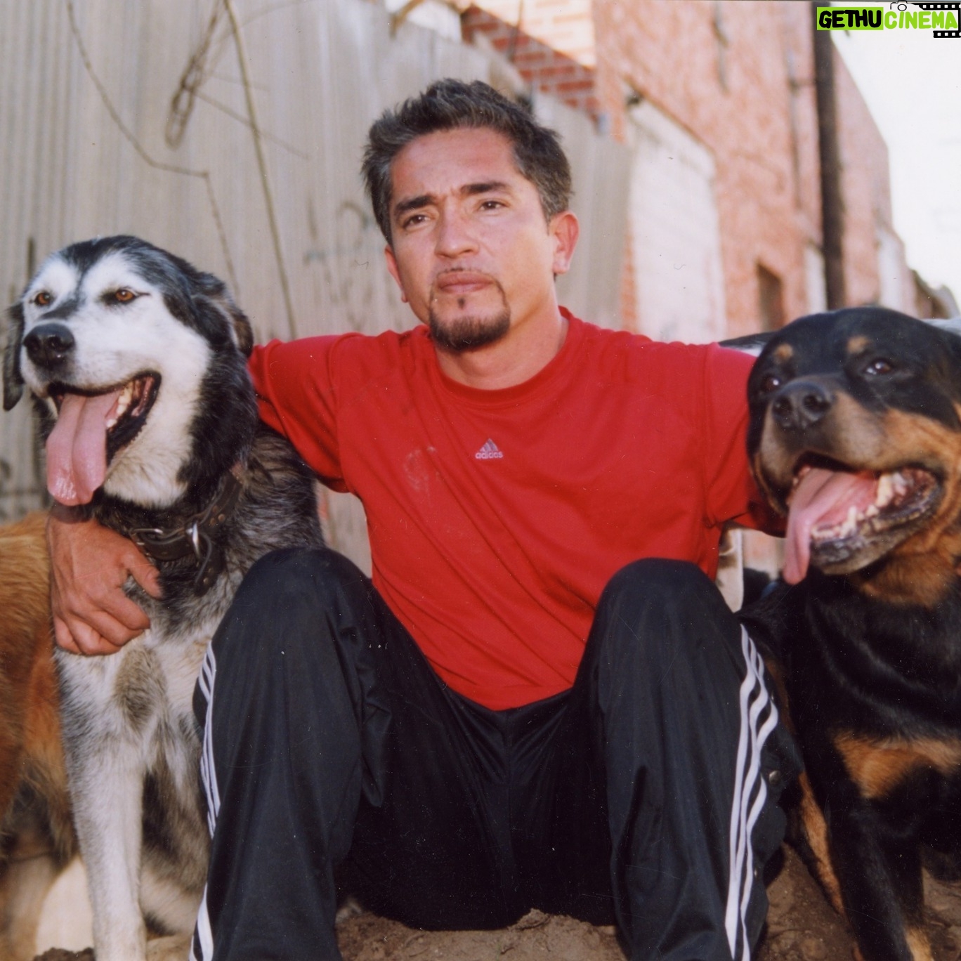 Cesar Millan - 14.9K Likes - Always enjoying the present... always looking forward #tbt
. . .
Siempre disfrutando el presente... siempre viendo hacia adelante #throwbackthursday
