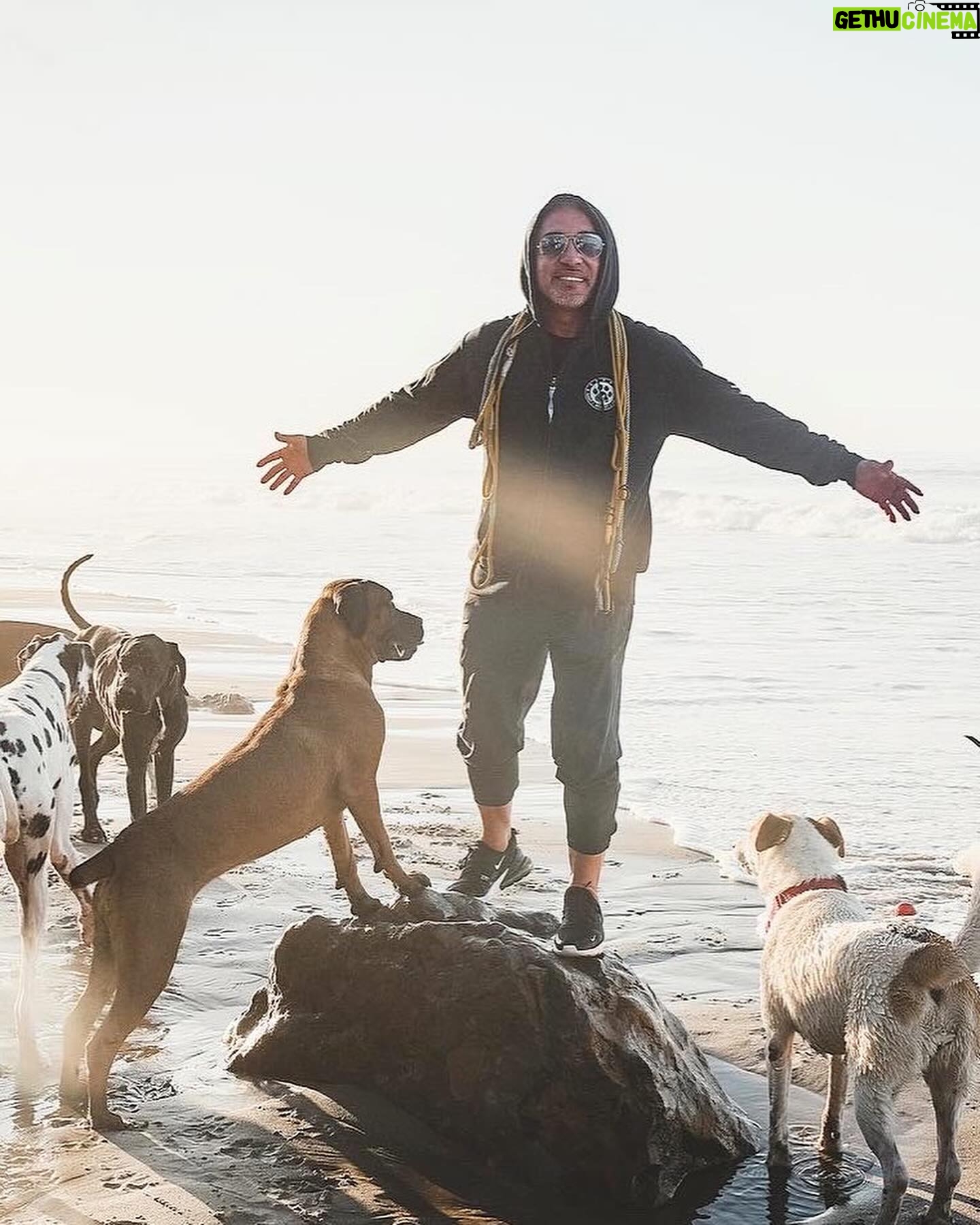 Cesar Millan - 22.4K Likes - “Ask not what your country can do for you – ask what you can do for your country” - John F Kennedy 🇺🇸
One of my favorite quotes comes from President JFK, I came to this country with a dream to become the greatest dog trainer in the world by learning from Americans.
I grew up in Mexico watching the TV show Lassie and Rin Tin Tin, so I thought all dogs were like that. When I came to America I saw dogs having birthday parties and getting toys for Christmas. It was something completely foreign to me.
Dogs in Mexico are skinny but they don’t have psychological problems. Dogs in America are chunky but I get to have a TV show.
I listened to JFK’s quote and decided to make my mission to train people and rehabilitate dogs.
And the rest is history 📚
#presidentsday #betterhumansbetterplanet
• • •
“No preguntes qué puede hacer tu país por ti, pregunta qué puedes hacer tú por tu país” - John F Kennedy 🇺🇸
Una de mis citas favoritas proviene del presidente JFK: Vine a este país con el sueño de convertirme en el mejor adiestrador de perros del mundo aprendiendo de los estadounidenses.
Crecí en México viendo el programa de televisión Lassie y Rin Tin Tin, así que pensé que todos los perros eran así. Cuando vine a Estados Unidos vi perros celebrando fiestas de cumpleaños y recibiendo juguetes en Navidad. Era algo completamente extraño para mí.
Los perros en México son flacos, pero no tienen problemas psicológicos. Los perros en Estados Unidos son fuertes, pero yo tengo un programa de televisión.
Escuché la cita de JFK y decidí tener como misión entrenar personas y rehabilitar perros.
El resto es historia 📚
#diadelospresidentes #mejoreshumanosmejorplaneta