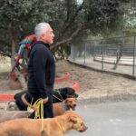 Cesar Millan Instagram - The Right Way To Walk Your Dog! #trainingcesarsway