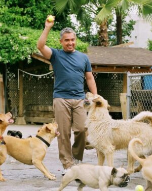 Cesar Millan Instagram - “Ask not what your country can do for you – ask what you can do for your country” - John F Kennedy 🇺🇸

One of my favorite quotes comes from President JFK, I came to this country with a dream to become the greatest dog trainer in the world by learning from Americans.

I grew up in Mexico watching the TV show Lassie and Rin Tin Tin, so I thought all dogs were like that. When I came to America I saw dogs having birthday parties and getting toys for Christmas. It was something completely foreign to me. 

Dogs in Mexico are skinny but they don’t have psychological problems. Dogs in America are chunky but I get to have a TV show.

I listened to JFK’s quote and decided to make my mission to train people and rehabilitate dogs. 

And the rest is history 📚

#presidentsday #betterhumansbetterplanet 
• • •
“No preguntes qué puede hacer tu país por ti, pregunta qué puedes hacer tú por tu país” - John F Kennedy 🇺🇸

Una de mis citas favoritas proviene del presidente JFK: Vine a este país con el sueño de convertirme en el mejor adiestrador de perros del mundo aprendiendo de los estadounidenses.

Crecí en México viendo el programa de televisión Lassie y Rin Tin Tin, así que pensé que todos los perros eran así. Cuando vine a Estados Unidos vi perros celebrando fiestas de cumpleaños y recibiendo juguetes en Navidad. Era algo completamente extraño para mí.

Los perros en México son flacos, pero no tienen problemas psicológicos. Los perros en Estados Unidos son fuertes, pero yo tengo un programa de televisión.

Escuché la cita de JFK y decidí tener como misión entrenar personas y rehabilitar perros.

El resto es historia 📚

#diadelospresidentes #mejoreshumanosmejorplaneta